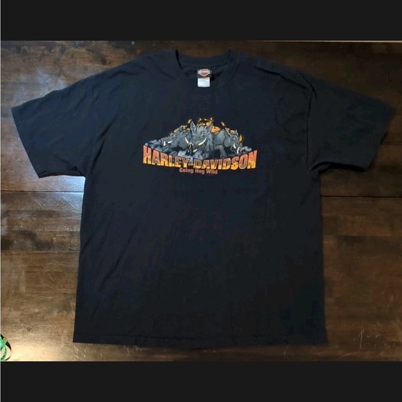 Harley-Davidson Other - Vintage Bumpus Harley Davidson Shirt Size 2XL Hogan Wild Tennessee